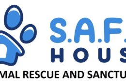 Screenshot 2025 09 11 at 3.38.48 PM